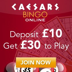UK Bingo Site