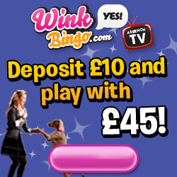 Wink Bingo