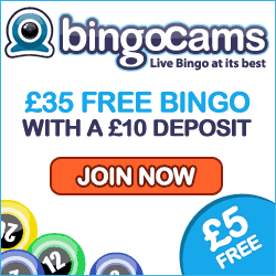 Click to play BingoCams now!